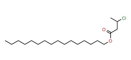 Hexadecyl 3-chlorobutanoate